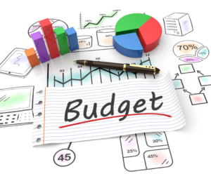 fractional cmo budget-friendly